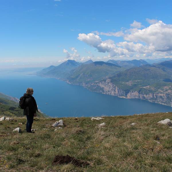 Hotel Alpino - Malcesine