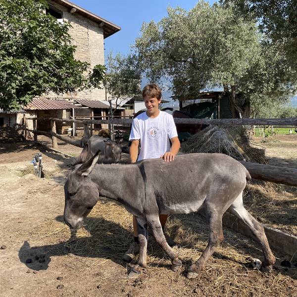 Bike farm - la fattoria 