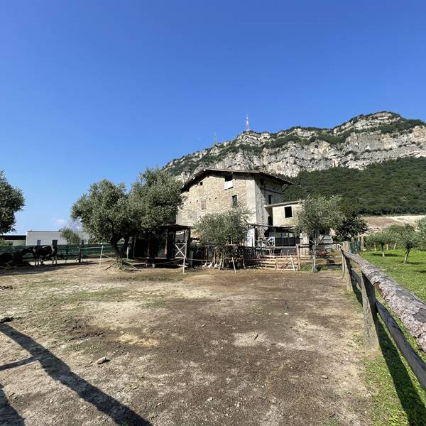 Bike farm - la fattoria 