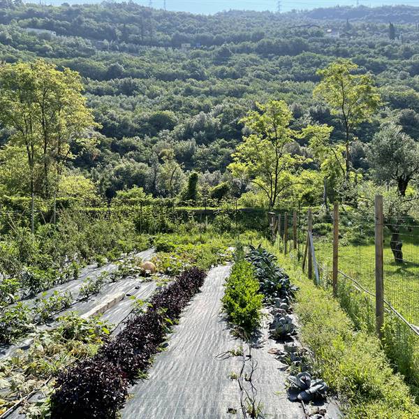 Bike farm - la fattoria 