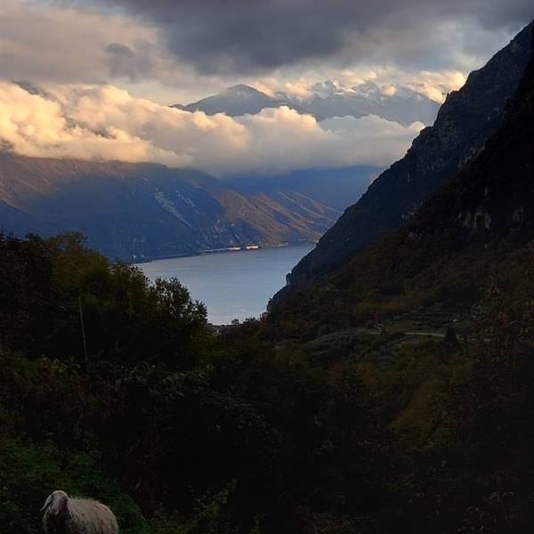 Lago di Garda da Tenno