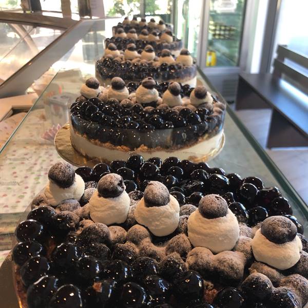 semifreddo amarena