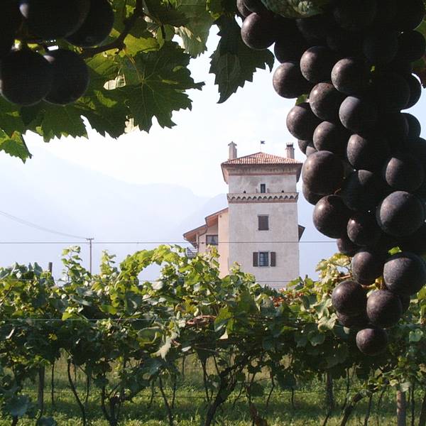 Ristorante La Colombera