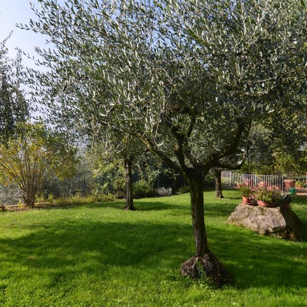 Ristorante La Berlera - Riva del Garda