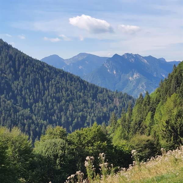 Noleggio e-bike Val di Ledro - Trentino