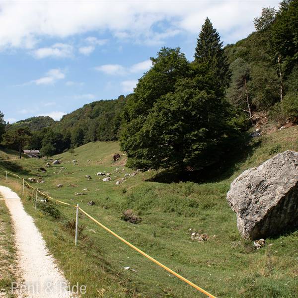 Noleggio e-bike Val di Ledro - Trentino