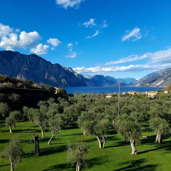 Vista dal balcone