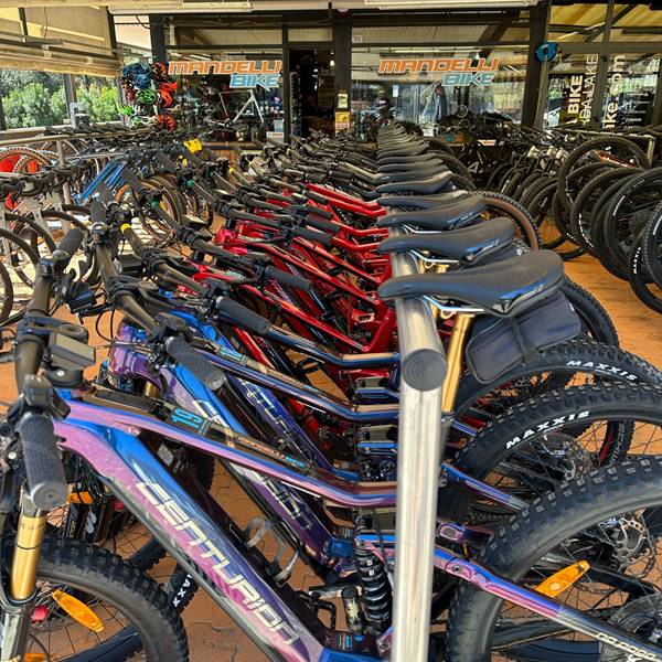 noleggia la tua bici sul lago di garda