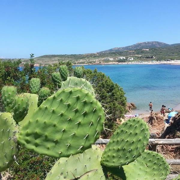 marinedda