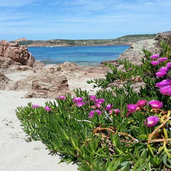 Sardegna