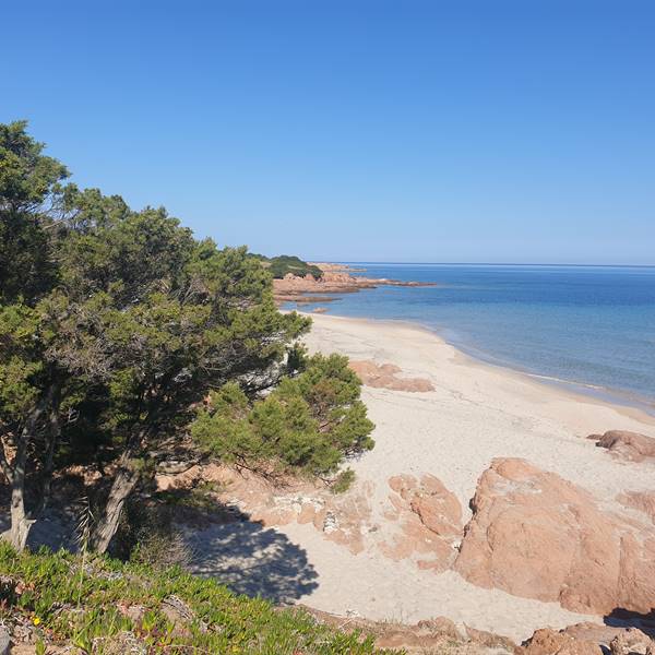 Marinedda