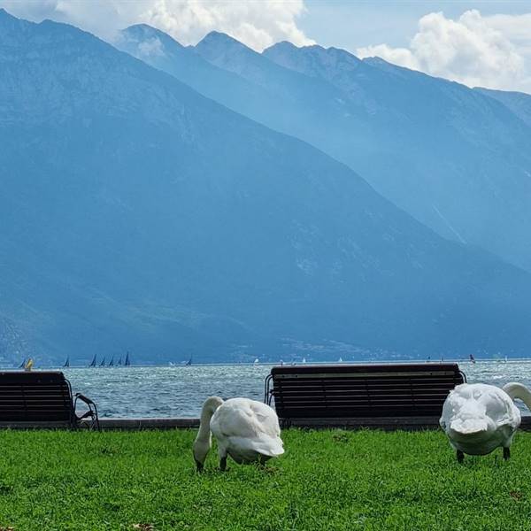 lago di Garda