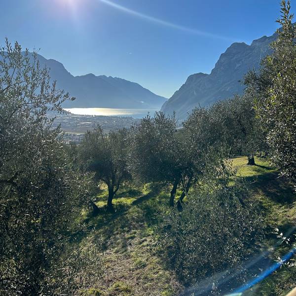 Fahrradverleih am gardasee