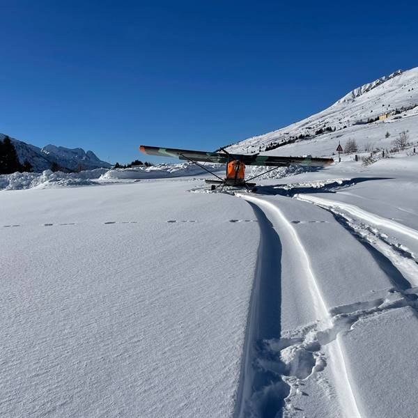 Arno Thurnbichler - Tonale