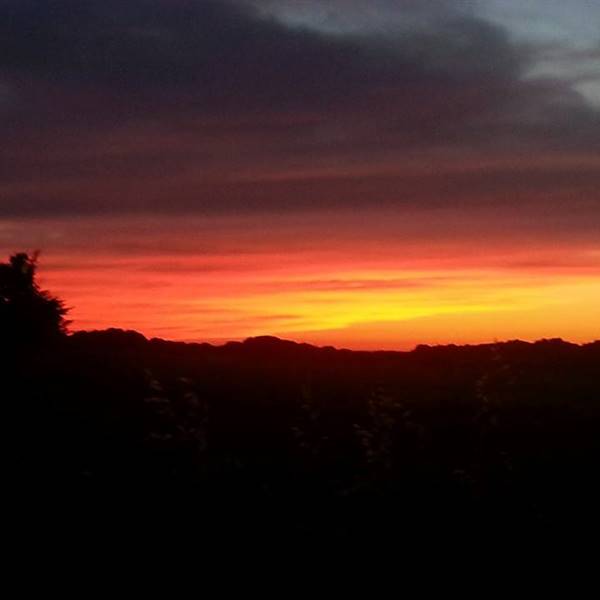 TRAMONTI
