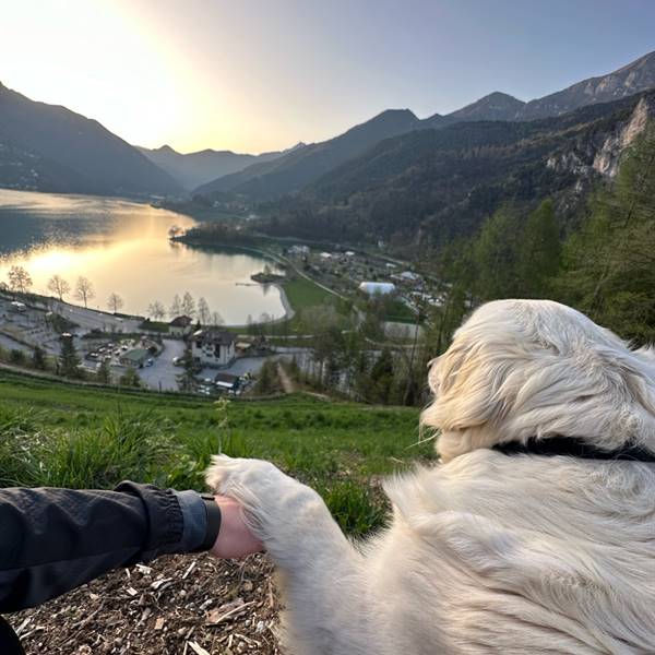 Gallery | Albergo Pieve | passeggiata con il tuo amico a quattro zampe 🐾