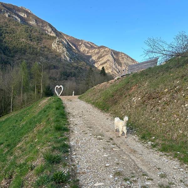 Gallery | Albergo Pieve | passeggiata al Cuore Gigante a Molina di Ledro