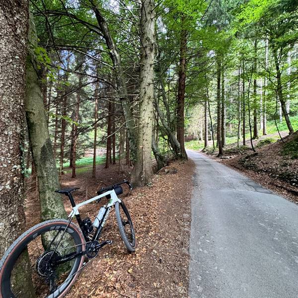 fahrradverleih am gardasee