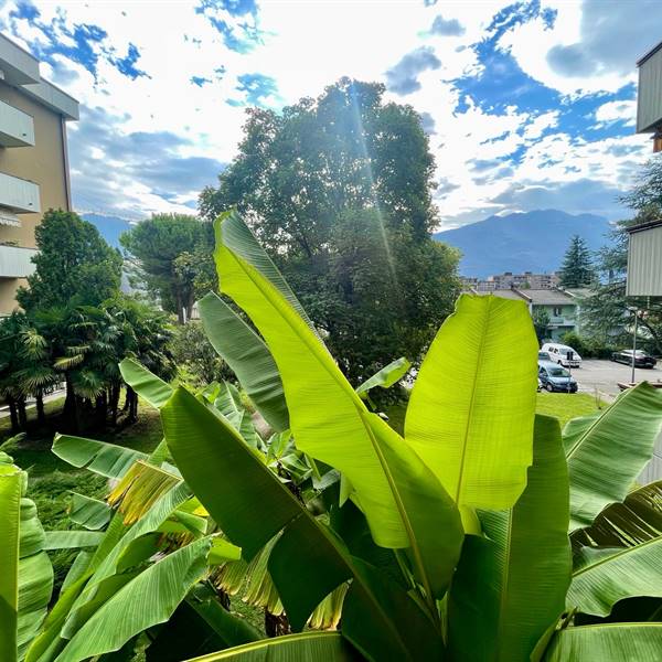RIVA - QUADRILOCALE IN ZONA SERVITA