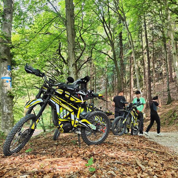 Guys into forest