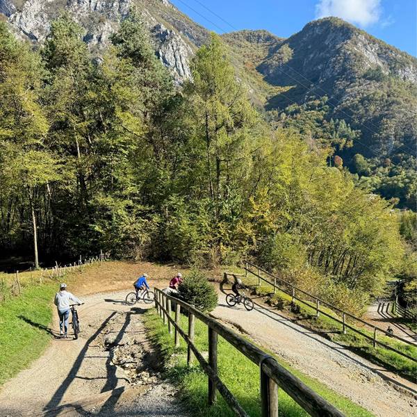 Noleggio e-bike Gardasee