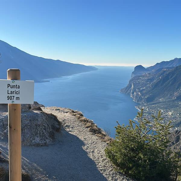 punta larici MANDELLI bike