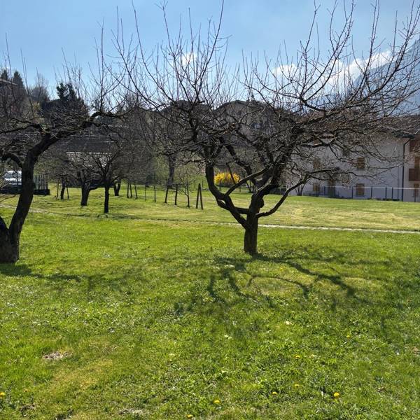 Gallery | Ledro Service Tour | giardino