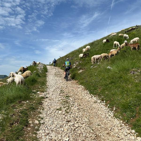 Altissimo Monte Baldo
