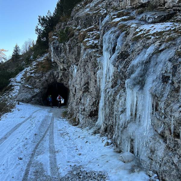 bike rental gardasee torbole