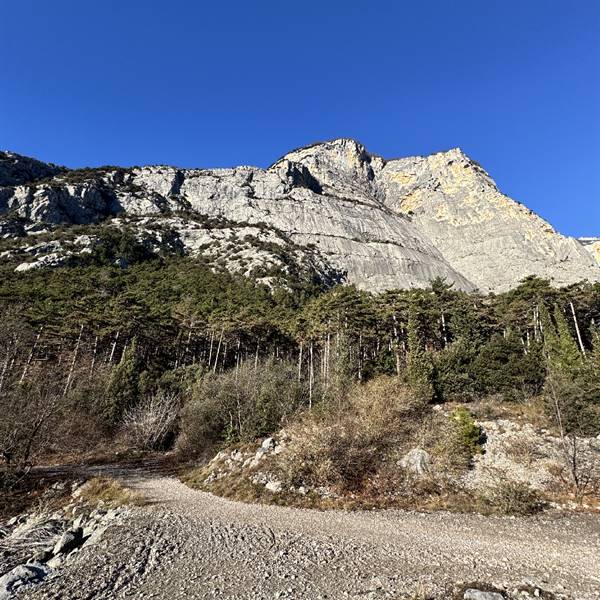 noleggio biciclette torbole sul garda