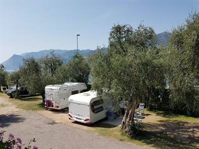 Beatiful day in our campingplace camping campagnola among olive trees !!