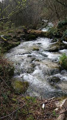 torrente ponale Hotel Sport ledro