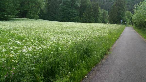 pista ciclabile ledro