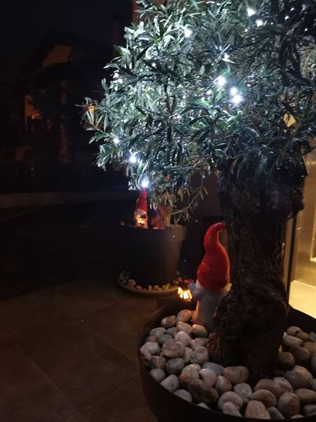 XMAS at Bellariva Hotel 