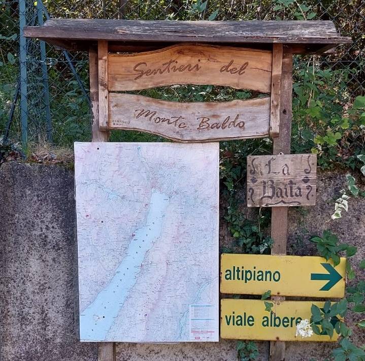 Baitone Alpino Consiglia: il sentiero della lecceta