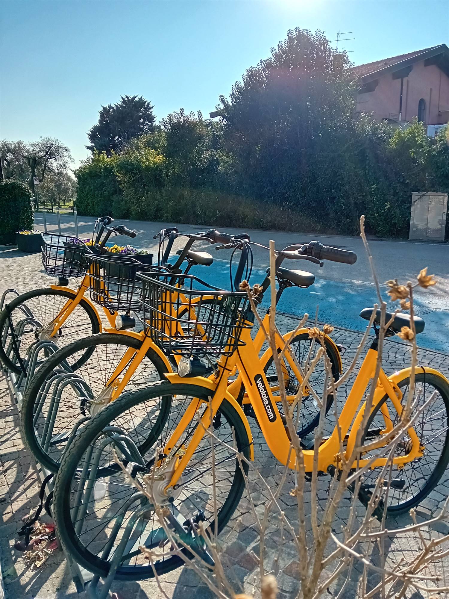 Fahrrad Verleih