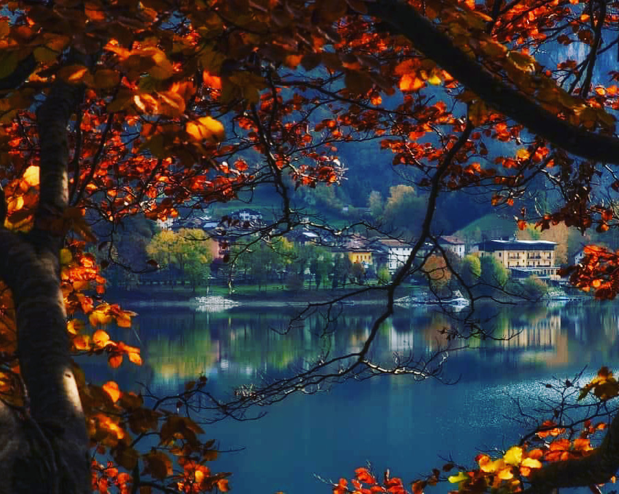 autumn offers