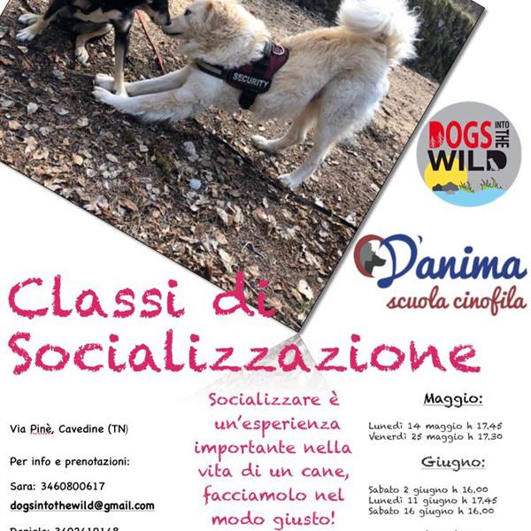 Classi di Socializzazione e Comunicazione