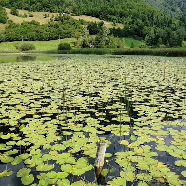 lago d’Ampola - Ledro