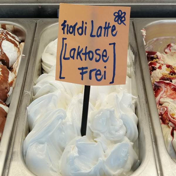 Fiordilatte Laktose Frei 🌺