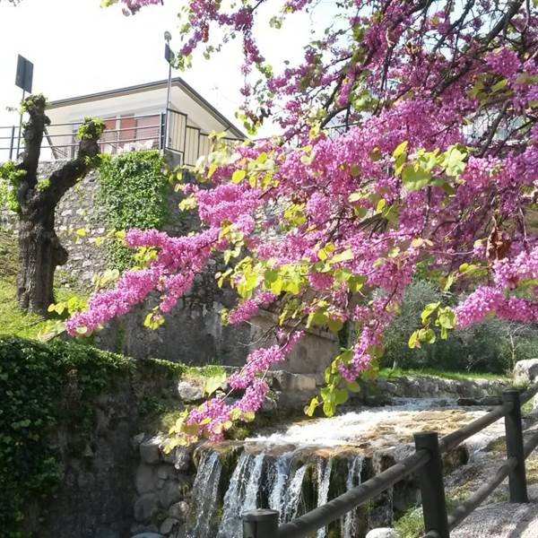 Villa Grazia Limone am Gardasee