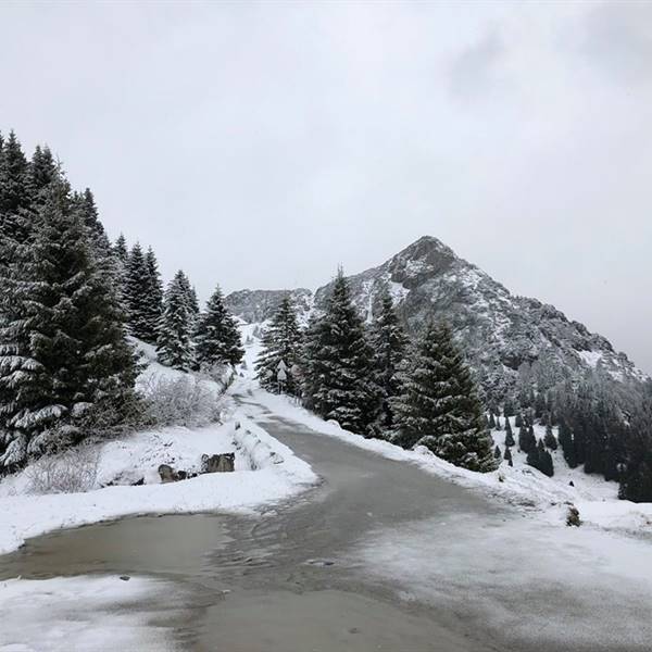 noleggio bici sul lago di garda