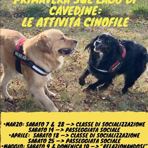 Attività Cinofile di Primavera!