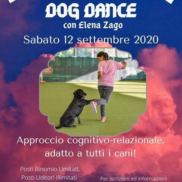 Stage di Dog Dance