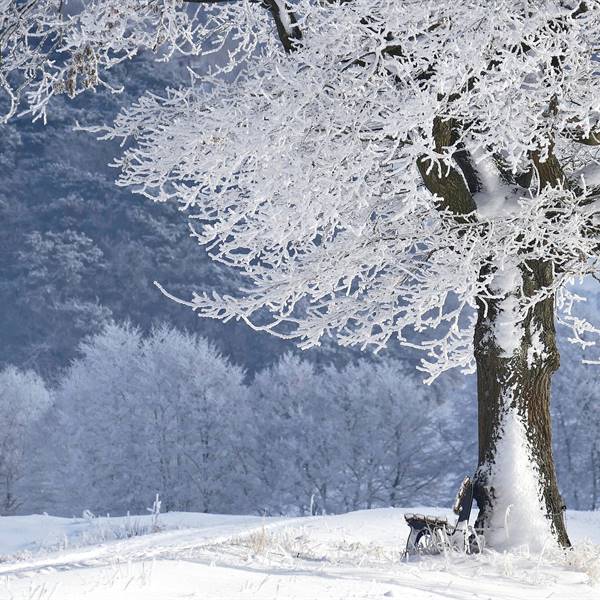 Snow in the Ledro Valley!