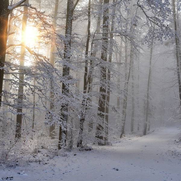 Winter im Ledro-Tal