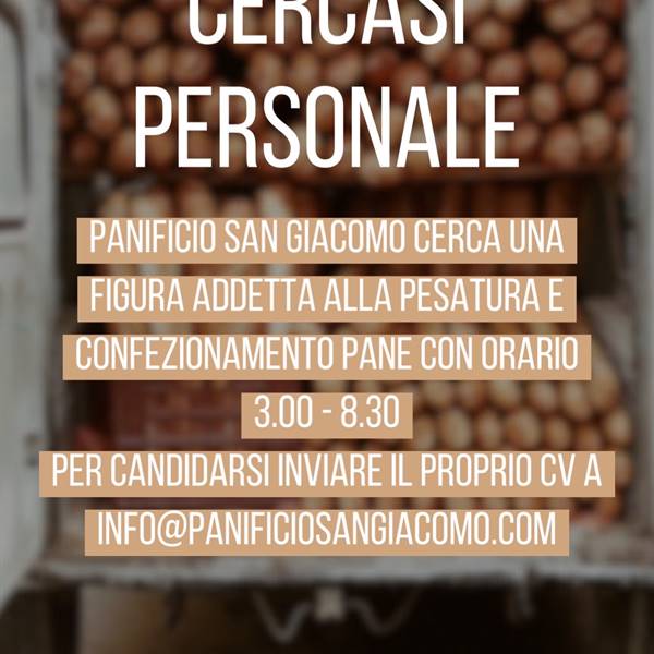 CERCASI PERSONALE