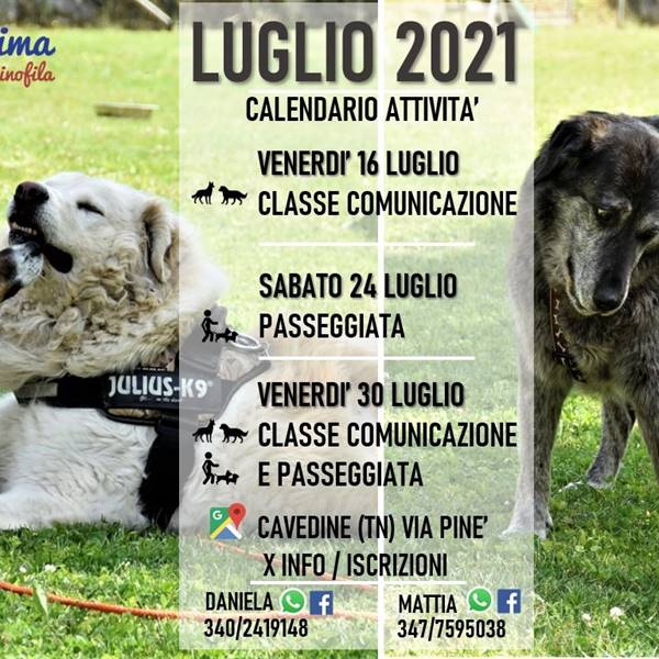 Attività di gruppo Luglio 2021