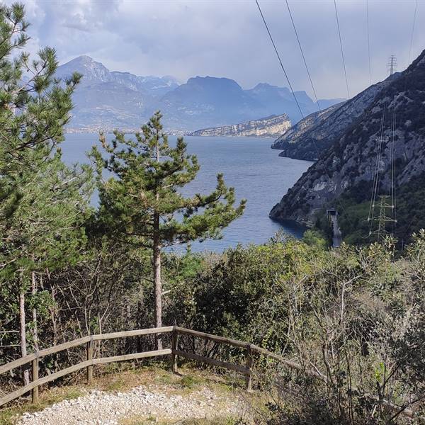 Den Steineichenwald entdecken