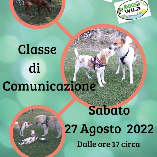 Classe di Comunicazione